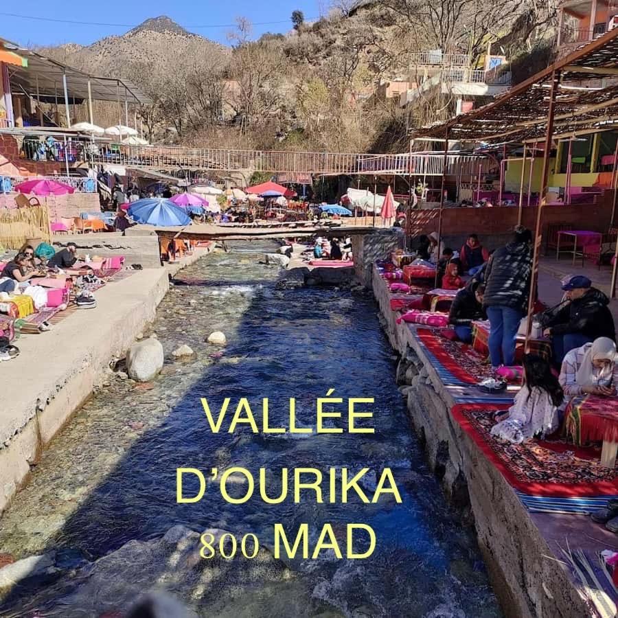 Dar Kamilya Leilighet Marrakesh Eksteriør bilde